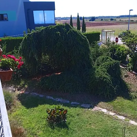 Ribic Apartment Umag