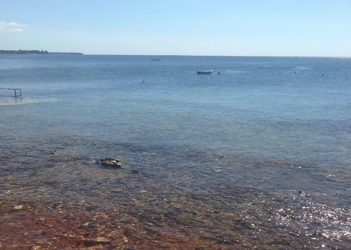 Appartamento Ribic *